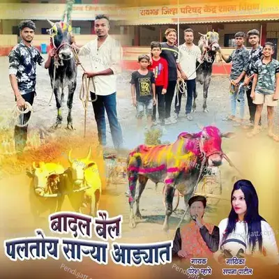 Badal Bail Paltoy Sarya Adyat - Sapna Patil album cover 