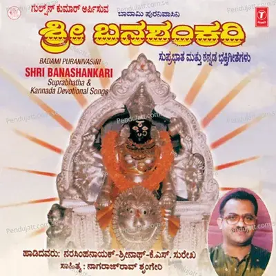 Thirtha Snana Madutha - Raj Srinath album cover 