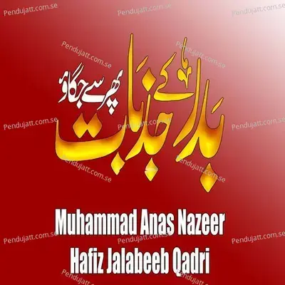 Badar K Jazbat Phir Se Jagao - Muhammad Anas Nazeer album cover 