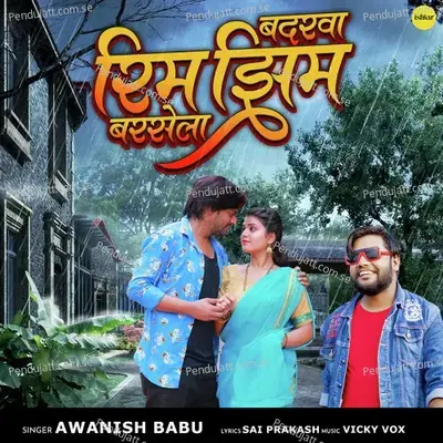 Badarwa Rim Jhim Barsela - Awanish Babu album cover 