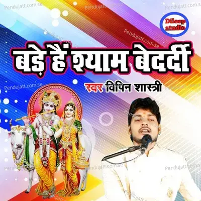 Bade Hain Shyam Bedardi - Vipin Shastri album cover 