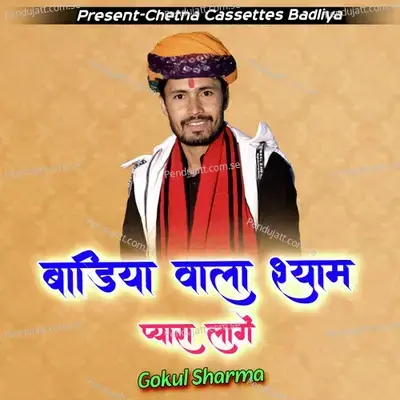 Badiya Wale Shyam Pyara Lage mp3 song