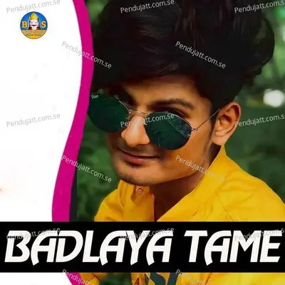 Badlaya Tame - Vijay Shiholi album cover 