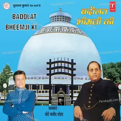 Dhamm Ki Jyot Jalana Hai - Chhote Majid Shola album cover 