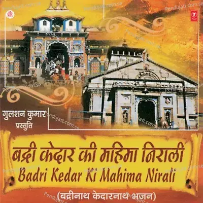 Badi Door Se Main Tere Dham Aaya - Debashish album cover 