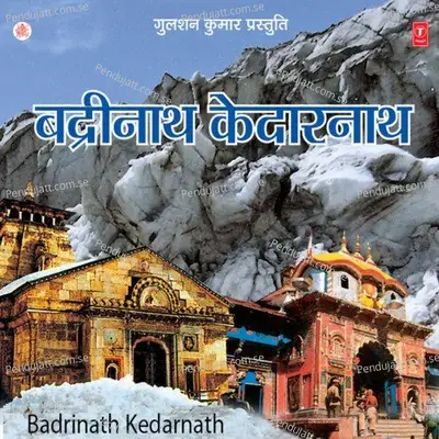 Baddrinath Ki Mahima Nyaari - Shailendra Bhartti album cover 