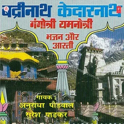 Badrinath Kedarnath Gangotri Yamnotri - Anuradha Paudwal cover album