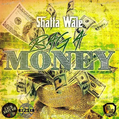 Bag A Money - Shatta Wale album cover 