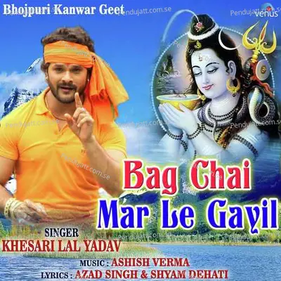 Bag Chai Mar Le Gayil - Khesari Lal Yadav album cover 