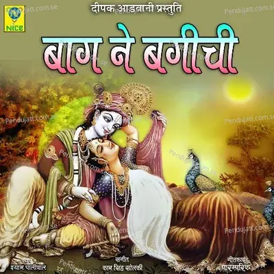 Bag Ne Bagichi - Shyam Paliwal album cover 