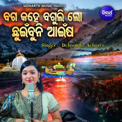 Baga Kahe Baguli Lo Chhuinbuni Aainsha - Debasmita Acharya album cover 