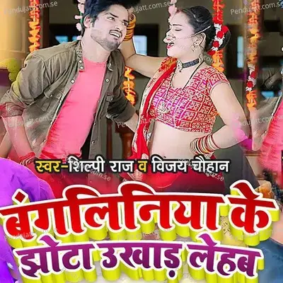 Bagaliniya Ke Jhota Ukhad Lehab - Vijay Chauhan album cover 