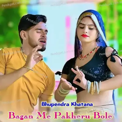 Bagan Me Pakheru Bole - Bhupendra Khatana album cover 