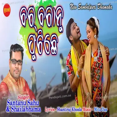 Bagbaganu Futichhe - Santanu Sahu album cover 