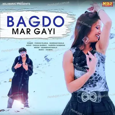 Bagdo Mar Gayi - Pawan Pilania album cover 