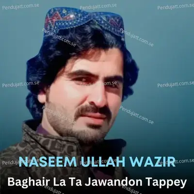 Baghair La Ta Jawandon Tappey - Naseem Ullah Wazir album cover 