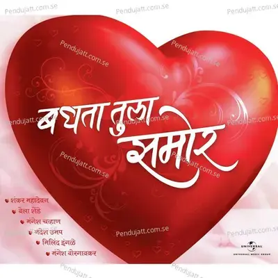 Chalalo Me Kuthe - Mangesh Borgaonkar album cover 