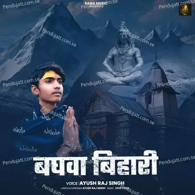 Baghava Bihari - Ayush Raj Singh album cover 