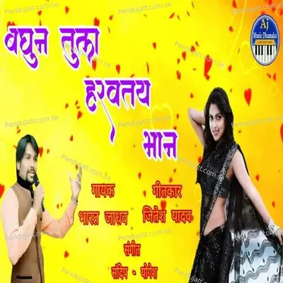 Baghun Tula Haravatay Bhaan - Bharat Jadhav album cover 