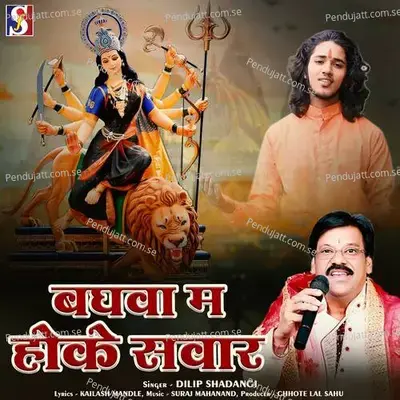 Baghwa Ma Hoke Sawar - Dilip Shadangi album cover 