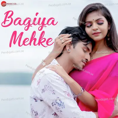 Bagiya Mehke - Rishiraj Pandey album cover 