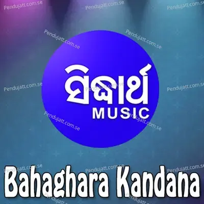 Duba Badhuthae - Namita Agrawal album cover 