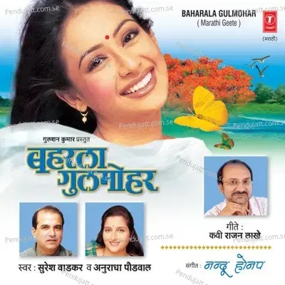 Hari Vajali Tujhi Basuri - Panchami album cover 