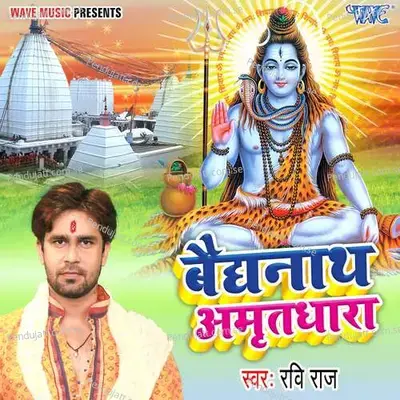 Baidyanath Amritdhara - Ravi Raj album cover 