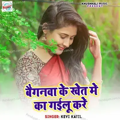 Baiganwa Ke Khet Me Ka Gailu Kare - Kevi Katil album cover 