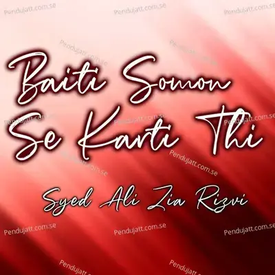 Hussain Hae Hussain - Syed Ali Zia Rizvi album cover 