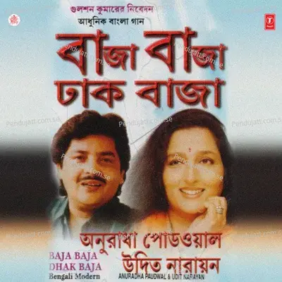 Baja Baja Dhak Baja - Anuradha Paudwal album cover 