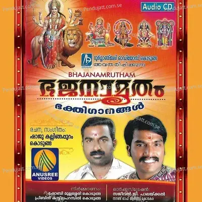 Pambathan Theerathu - Vinod Nellayi album cover 