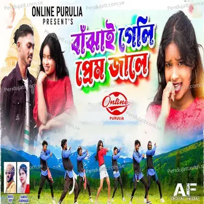 Bajhay Geli Prem Jale - Rahul Roy album cover 