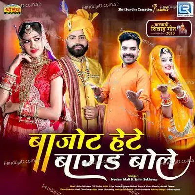 Bajot Hete Bagad Bole - Salim Shekhawas