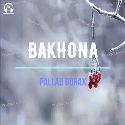 Bakhona - Pallab Borax album cover 