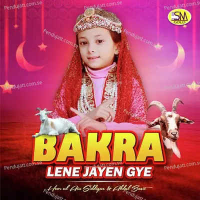 Bakra Lene Jayen Gye - Hoor Ul Ain Siddique cover album