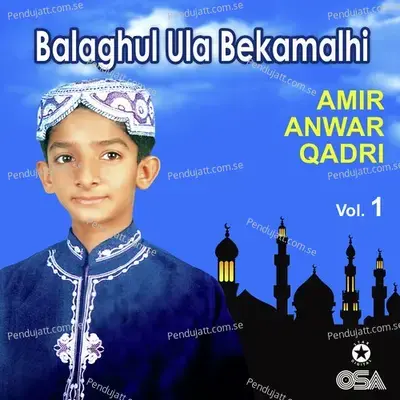 Aapka Jamal Khoob Hai - Amir Anwar Qadri album cover 