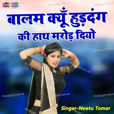 Balam Kiyo Hurdang Ki Hath Maror Diyo - Neetu Tomar album cover 