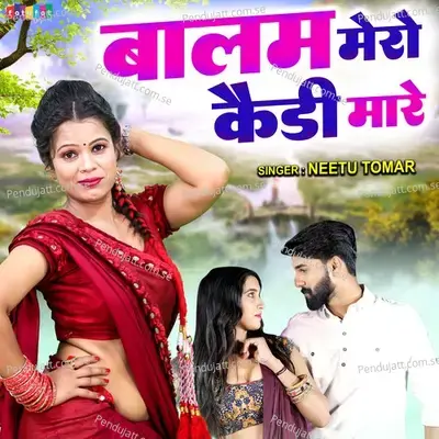 Balam Mero Kaidi Mare - Neetu Tomar
