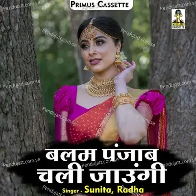 Balam Panjab Chalee Jaungi - Sunita