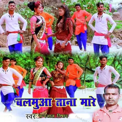 Balamua Tana Maare - Chandelal Nishad album cover 