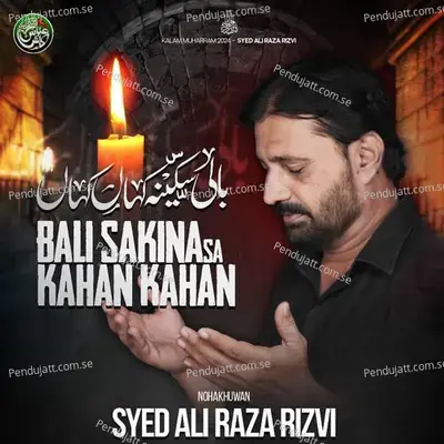 Bali Sakina S a Kahan Kahan - Syed Ali Raza Rizvi album cover 