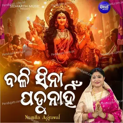 Bali Sina Padunahin - Namita Agrawal album cover 