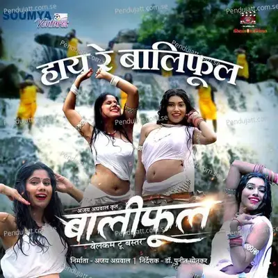 Hay Re Baliphool - Champa Nishad album cover 