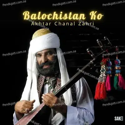 Begoshaga - Akhtar Chanal Zahri album cover 