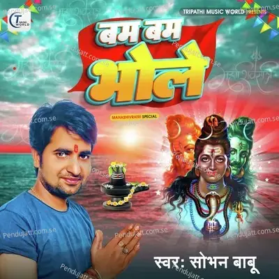 Bam Bam Bhole - Sobhan Babu album cover 