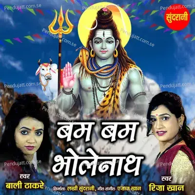 Bam Bam Bholenath - Riza Khan album cover 