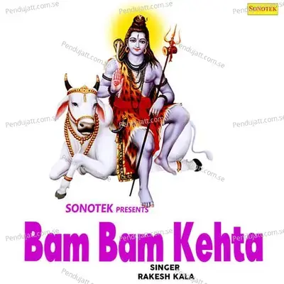 Bam Bam Kehta - Sonotek cover album