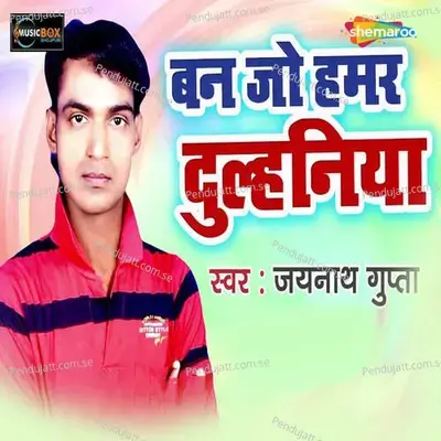 Ban Jo Hamar Dulhiniya - Jaynath Gupta album cover 