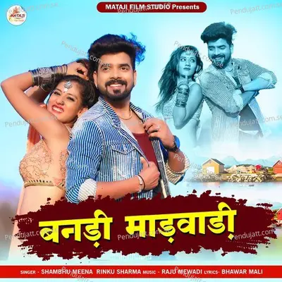 Banadi Marwadi - Shambhu Meena album cover 